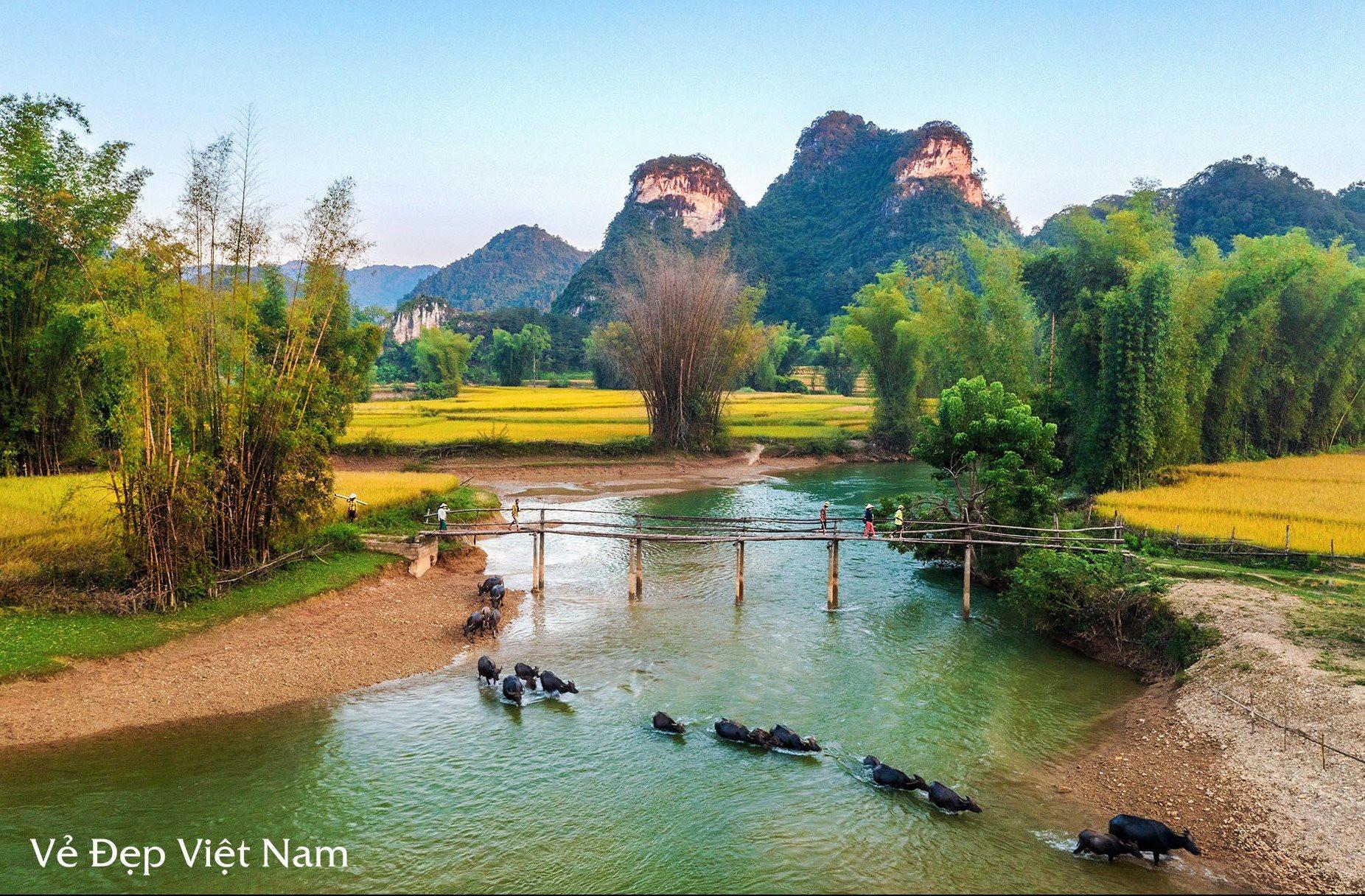 Vẻ đẹp Việt Nam